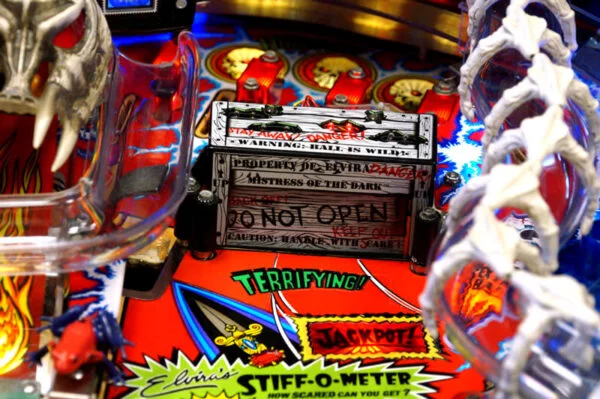 Buy SCARED STIFF Pinball Machine Online - Image 11